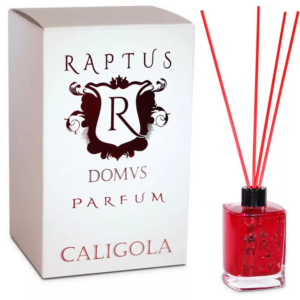 PROFUMATORE PER AMBIENTE CALIGOLA - RAPTUS PARFUM 300 ML (BACCHETTE INCLUSE)